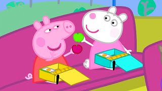 Le Voyage Scolaire  Peppa Pig Français Episodes Complets [upl. by Bhayani]