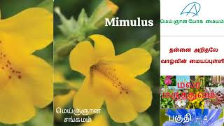 MGYM  Flower Medicine physical mentalhealth life family free tamil event alternative all [upl. by Ortiz640]