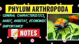 Phylum Arthropoda general characteristics habit habitat economic importance Notes📝😎 [upl. by Ataynik]