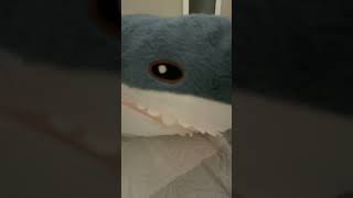 Blahaj blahaj ikea shark sjshushxh [upl. by Eseerahs]