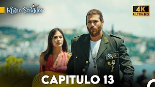 Pájaro Soñador Capítulo 13 Doblado En Español 4K [upl. by Winston615]