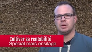 Le maïs ensilage pour la ration du troupeau  Cultiver sa rentabilité [upl. by Cilurzo]