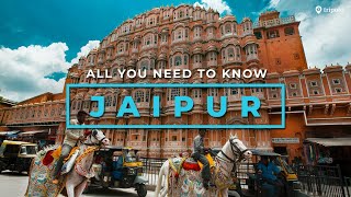 The Ultimate Jaipur Tour Guide Places To Visit Things To Do Forts Palaces Markets  Tripoto [upl. by Zul]