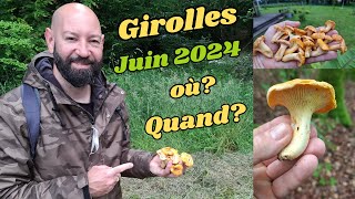 Où trouver des Girolles [upl. by Emilia]