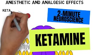 2Minute Neuroscience Ketamine [upl. by Anilet]