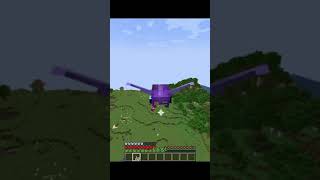 GOD LEVEL ENCHANTMENT FOR ELYTRA  Minecraft God Level elytra shorts shortvideos minecraft [upl. by Lurette]