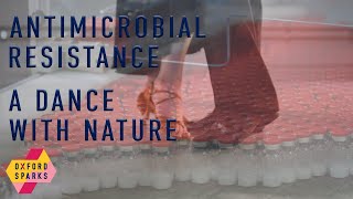 Antimicrobial Resistance A Dance with Nature [upl. by Ennasor]