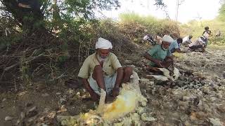 Sheep wool cutting Kukadsar village Kutch [upl. by Gina]