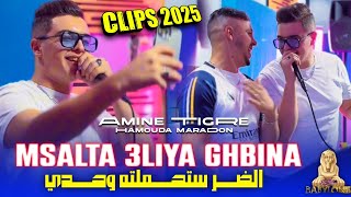 Cheb Amine Tigre 2024 Feat Hamouda Maradon Msalta 3liya Ghbinaالضر ستحملته وحدي© Clips Officiel [upl. by Atiugal]