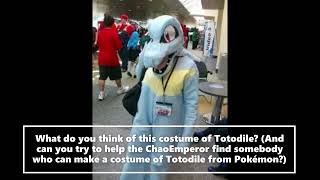 What Do You Think Of This Totodile Costume From Pokemon Gold and Silver [upl. by Kameko]