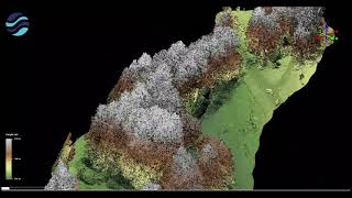 Point cloud 3D model of small stream amp vegetation [upl. by Kcira]