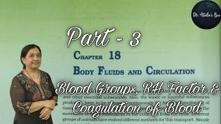 Body Fluids and Circulation  Part 3  Class 11 Biology  NCERT NEET [upl. by Merci]