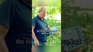 Clarksons farmHarvest wasabishorts series show tvshow clarkson [upl. by Adnanref677]