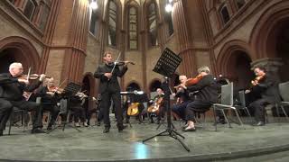 FA Hoffmeister Viola Concerto 3rd movement played on a mezzoforte cf viola [upl. by Tnomel183]