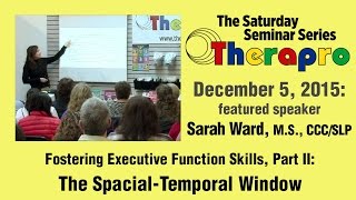 Fostering Executive Function Skills Part 2 Spacial Temporal Window Therapro Dec 5 2015 [upl. by Gnivri363]