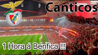 1 Hora á Benfica 🔥🙌🦅 [upl. by Stepha]