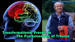 Transformational Process in the Psychoanalysis of Trauma by Donald Kalsched  part 2 [upl. by Rosita317]