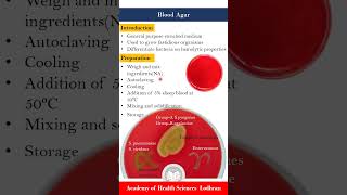 Blood Agar Enriched and differential media [upl. by Orv]