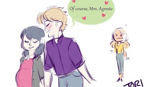 quotMr and Mrs Agrestequot Miraculous Ladybug Comic Dub [upl. by Ardnosak]