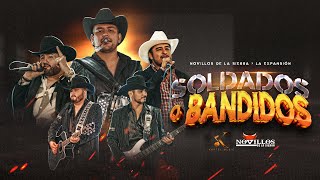 Novillos De La Sierra La Expansión  Soldados o Bandidos Video Oficial [upl. by Ellehctim]