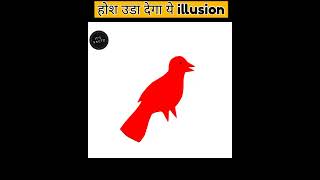 ऐसा illusion कभी नहीं देखा होगा😱 mindblowing illusion shorts opticalillusion [upl. by Rance]