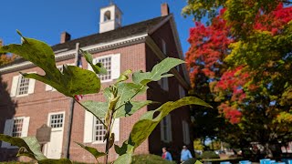 Symbolic Revolutionary War Liberty Tree planted in York has a message for 2024 politics [upl. by Audley]