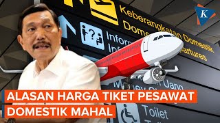 Disorot Luhut Mengapa Harga Tiket Pesawat Domestik Sangat Mahal [upl. by Dumas]