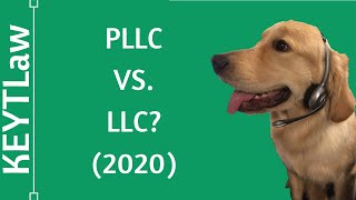 Arizona PLLC vs LLC Differences Explained 2024 [upl. by Neerak617]