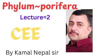 Phylum Porifera  lecture 2 BY Kamal sir [upl. by Crean]