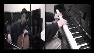 Adele Someone Like You  Cello Cover [upl. by Nimesh]