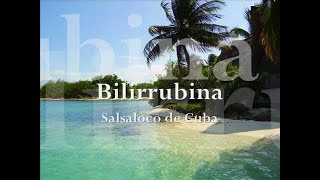 Bilirrubina  Salsaloco de Cuba  Merengue Music [upl. by Nanreh]