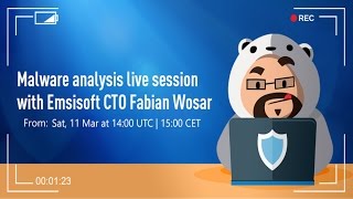 Malware Analysis Session with Emsisoft CTO Fabian Wosar Damage Ransomware [upl. by Ayalat]