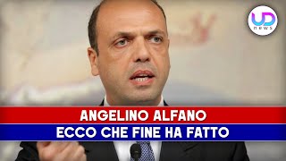 Angelino Alfano Ecco Che Fine Ha Fatto [upl. by Endys134]