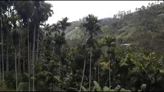 Train journey to EllaSri Lanka [upl. by Reginald]