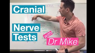 Cranial Nerve Tests  Nervous System [upl. by Attiuqihc]