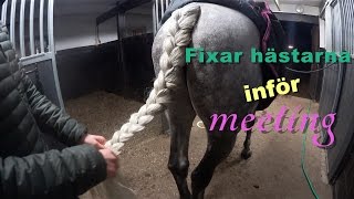 FIXAR HÄSTARNA INFÖR MEETING [upl. by Yenitsed]