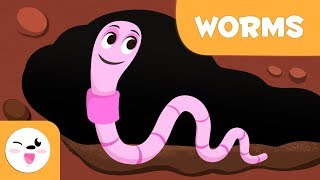 Worms  Invertebrate animals for kids  Natural Science for kids [upl. by Stella]