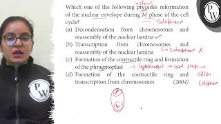 Which one of the following precedes reformation of the nuclear envelope during M phase of the cel [upl. by Najar674]