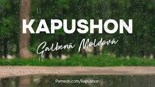 Kapushon  Galbenă Moldovă [upl. by Cristabel]