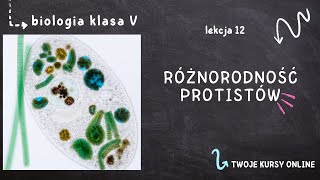 Biologia klasa 5 Lekcja 12  Różnorodność protistów [upl. by Lil]