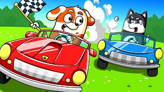 Who Wins Hoo Doos Big Car vs Small Car Challenge  Hoo Doo Animation [upl. by Averyl]