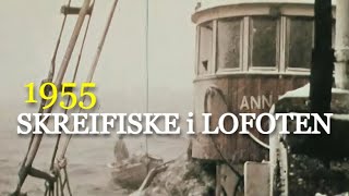 Skreifiske i Lofoten  1955 En kald opplevelse om vinteren [upl. by Kristoffer]