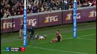 Round 11 AFL  Essendon v Carlton Highlights [upl. by Tezzil]