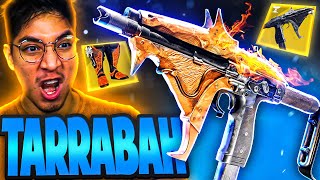 This Tarrabah with Solar 30 Build Is SO MUCH FUN [upl. by Irv964]