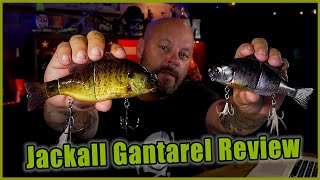 Jackall Gantarel Swimbait  Should You Buy [upl. by Portugal]