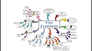 Knee Examination  OSCE [upl. by Adlitam]