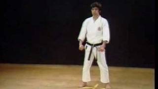 Shotokan Kata Jiin  Kanazawa Hirokazu [upl. by Wieren]