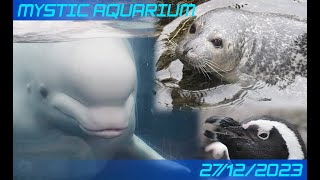 Mystic Aquarium  27122023 [upl. by Viridi]