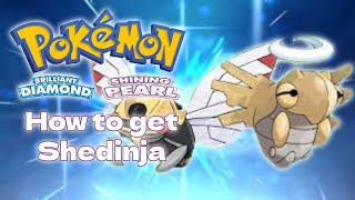 How to get Shedinja  Pokémon Brilliant Diamond and Shining Pearl [upl. by Eelaroc]