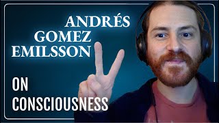 On Consciousness feat Andrés Gomez Emilsson  Traces Appendix 19 [upl. by Rodmur]